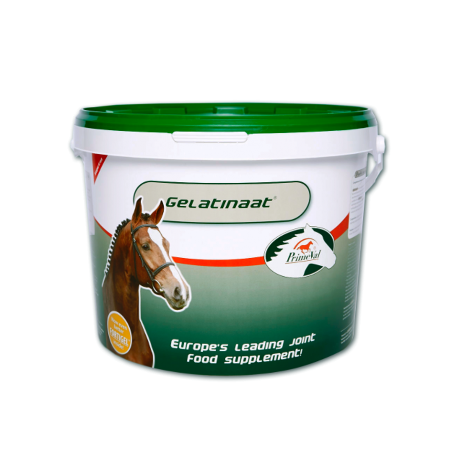 Gelatinaat paard