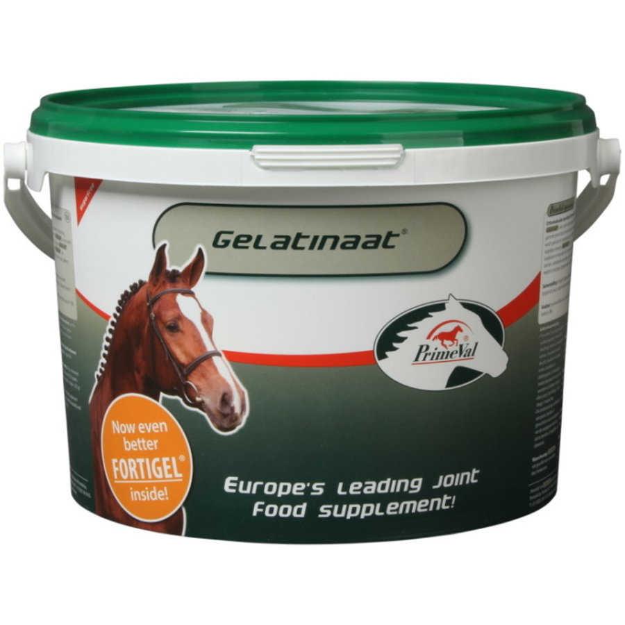 Gelatinaat paard