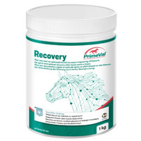 Recovery Paard 1KG