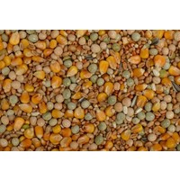 Excellent Kweek/Vlieg 20KG