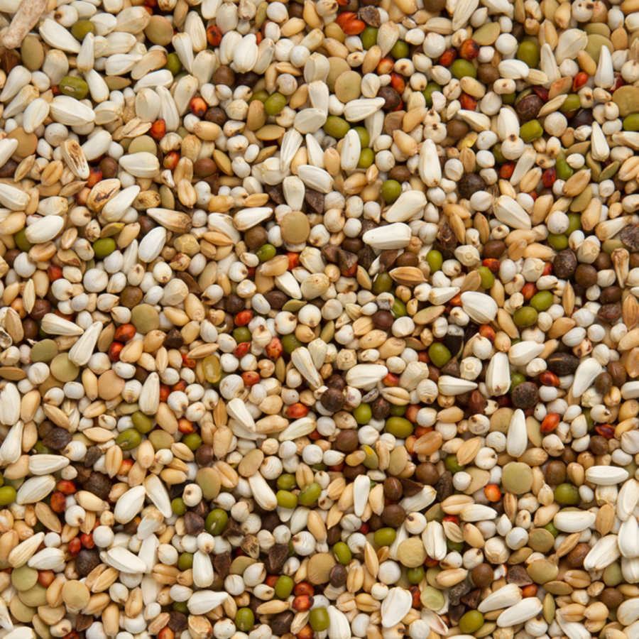 Premium Wal Zoontjens Yellow | licht verteerbare basis mengeling | 20 kg