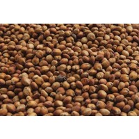 Dari rood/Milocorn 25KG