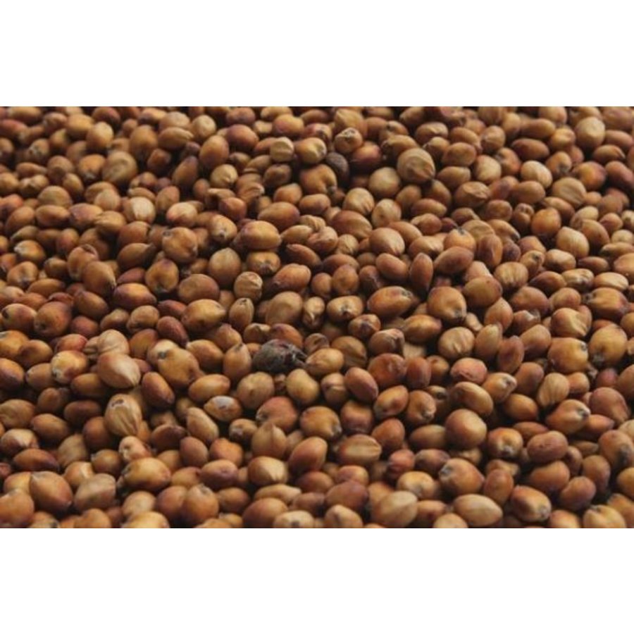 Dari rood/Milocorn 25KG