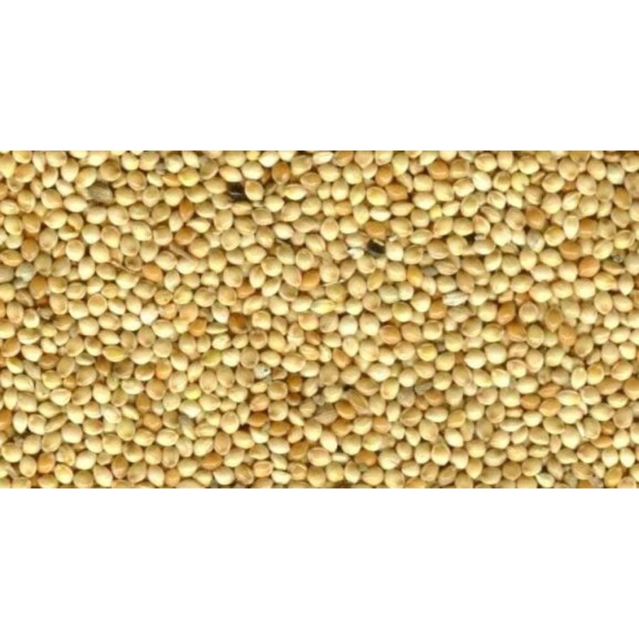 Geel millet 20KG