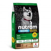 Adult Lamb Dog S9