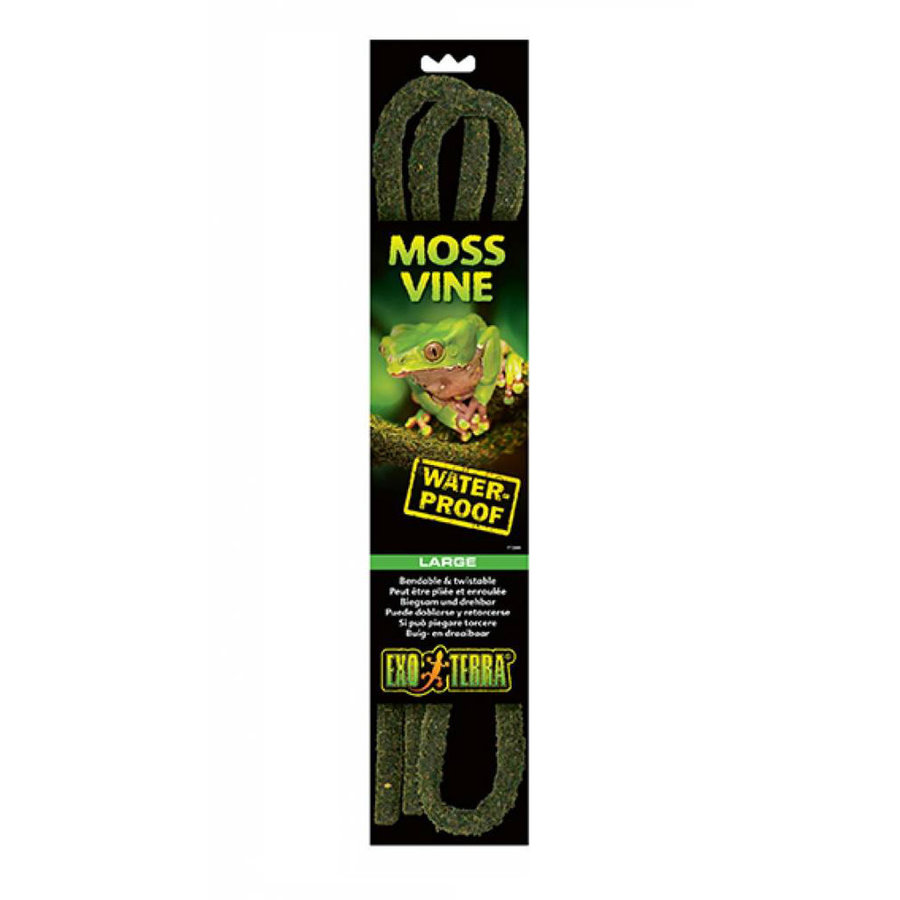 Vine Moss Buigzame Liaan