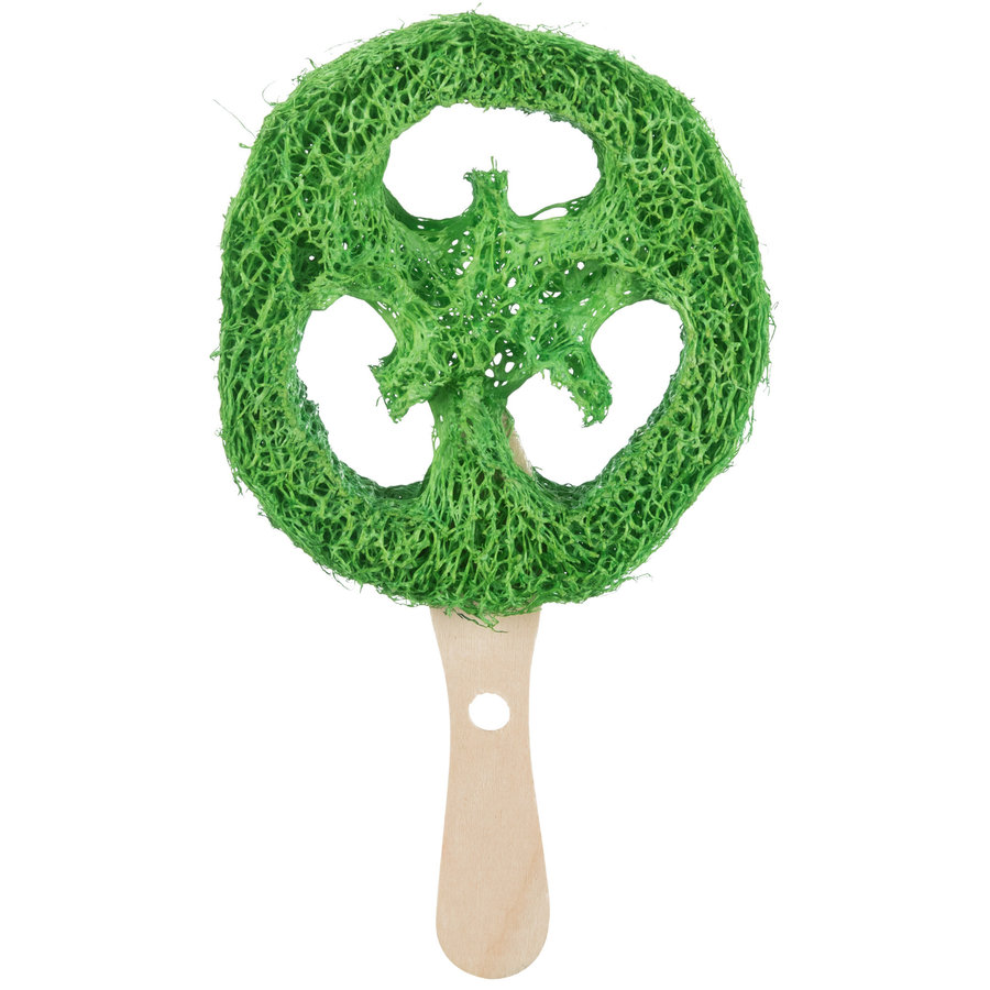 Loofah lolliepop