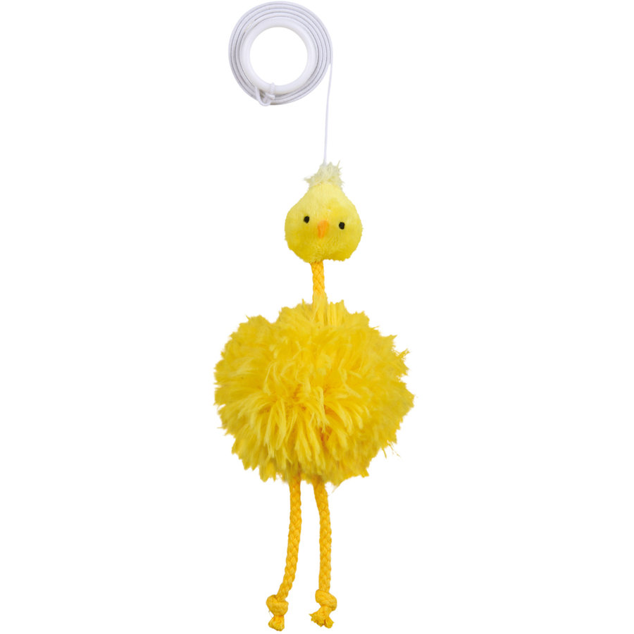 Kip aan elastisch Koord