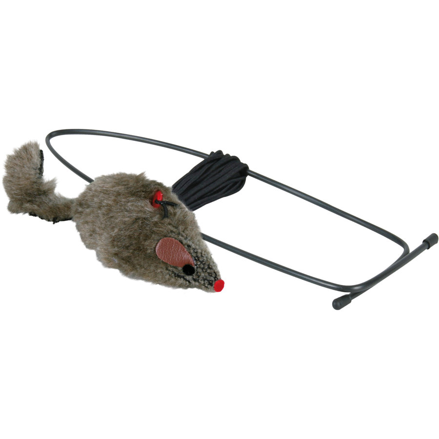 Muis voor aan het Deurkozijn