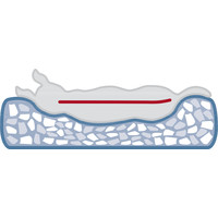 Vitaal Schuilplaats Noah