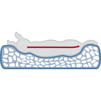 Vitaal Kussen Bendson