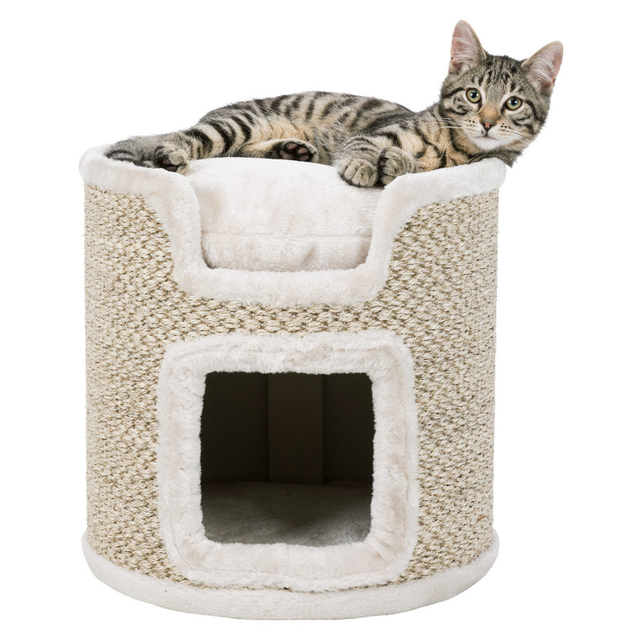 Cat Tower Ria