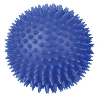 Egelbal hondenspeeltje