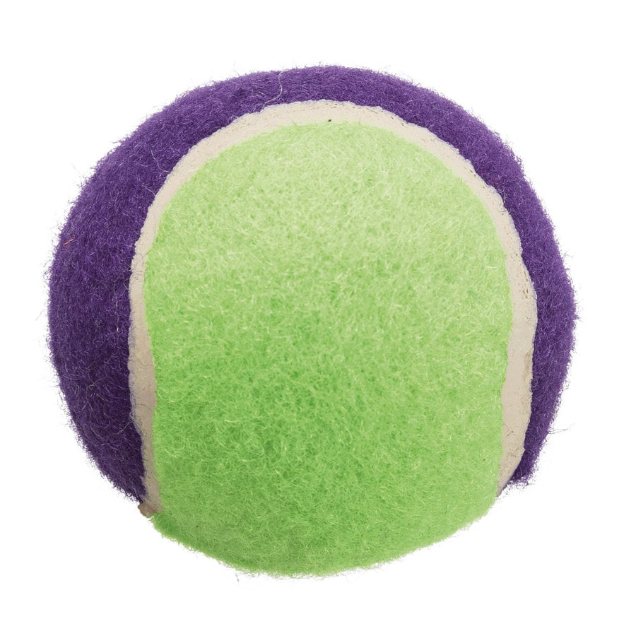 Grote hoeveelheid Tennisballen