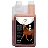 Equi Oxy Cell 1 liter