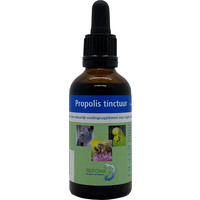 Bio Propolis 30%