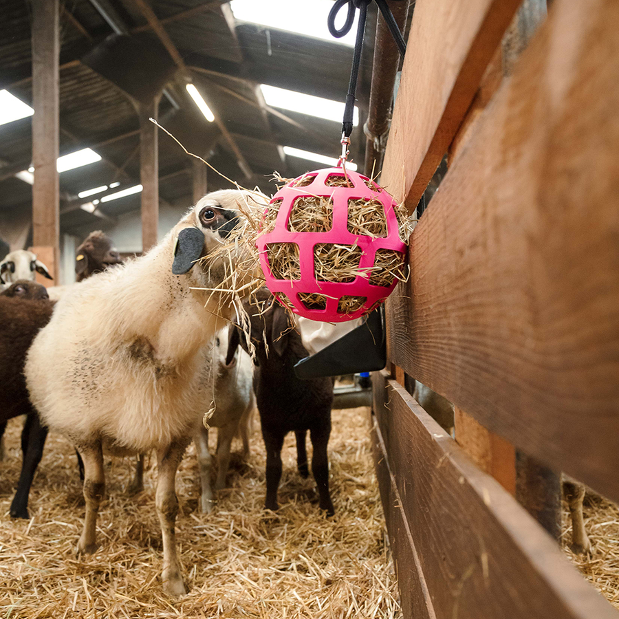 Slowfeeder bal voor lekkernijen