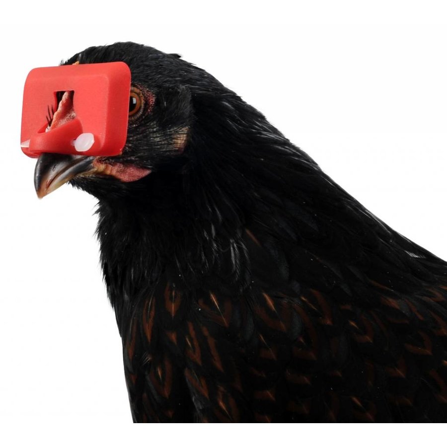 Pluimveebril tegen verenpikken - klein en groot, verpakkingen van 25 of 100 stuks