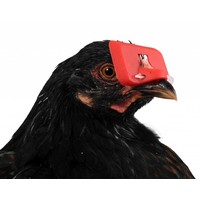 Pluimveebril tegen verenpikken - klein en groot, verpakkingen van 25 of 100 stuks