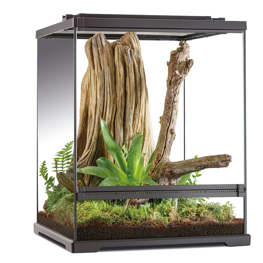 Boomkikker Terrarium | 60 x 45 x 45CM