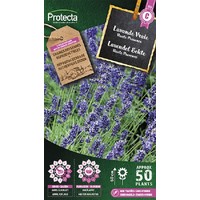 Kruiden/bloemen zaden: Lavendel Echte | Lavandula