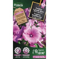 Bloemen zaden: Lavatera Grootbloemig