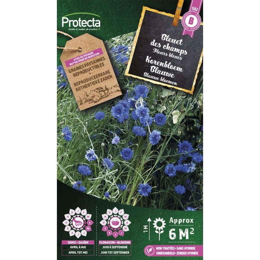 Bloemen zaden: Korenbloem Blauwe | Centaurea cyanus