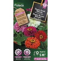 Bloemen zaden: Zinnia Reuzen Robusta | Californische Reuzen