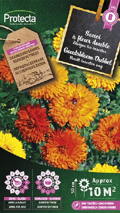 Goudsbloem