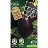 Aubergine Ronde Black Beauty