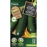 Groente zaden: Courgette Black Beauty Biologisch