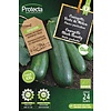 Courgette Black Beauty XXL Biologisch