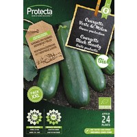 Groente zaden: Courgette Black Beauty XXL Biologisch