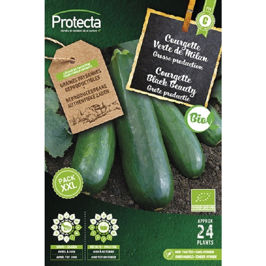 Groente zaden: Courgette Black Beauty XXL Biologisch