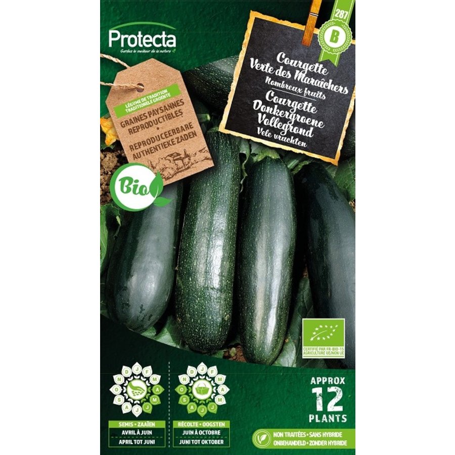 Groente zaden: Courgette Donkergroene Vollegrond Biologisch