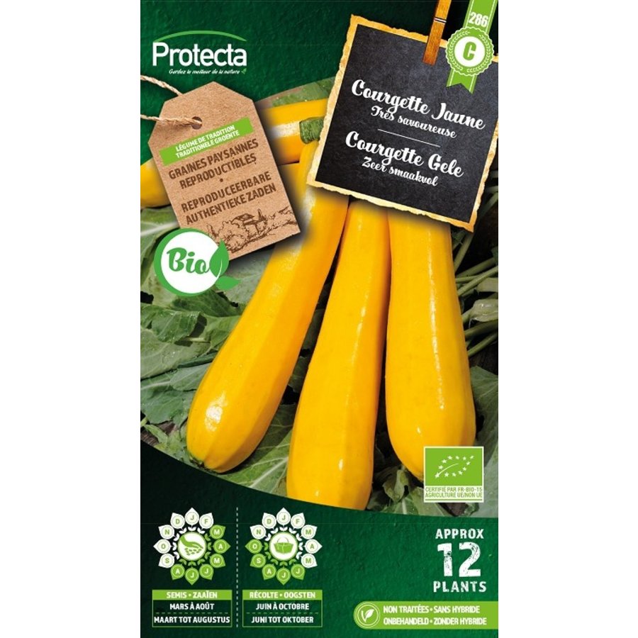 Groente zaden: Courgette Gele Biologisch