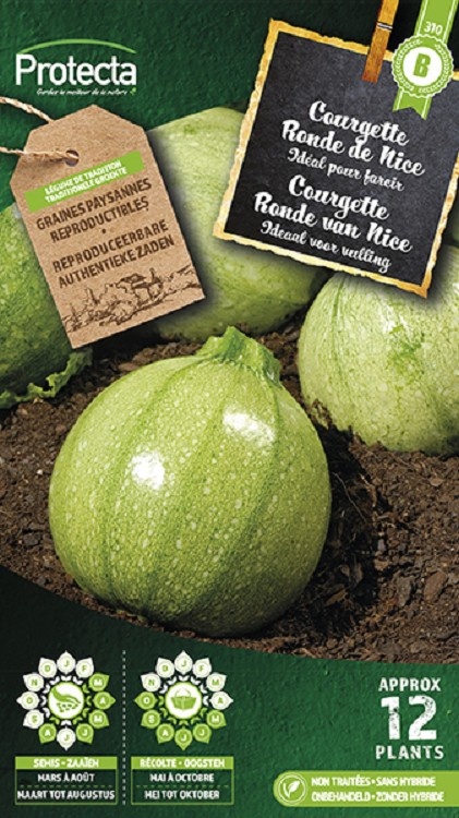 Graines De Courgette Ronde De Nice BIO - Sachet De 15 Graines Certifiées AB, Pour Potager Maison
