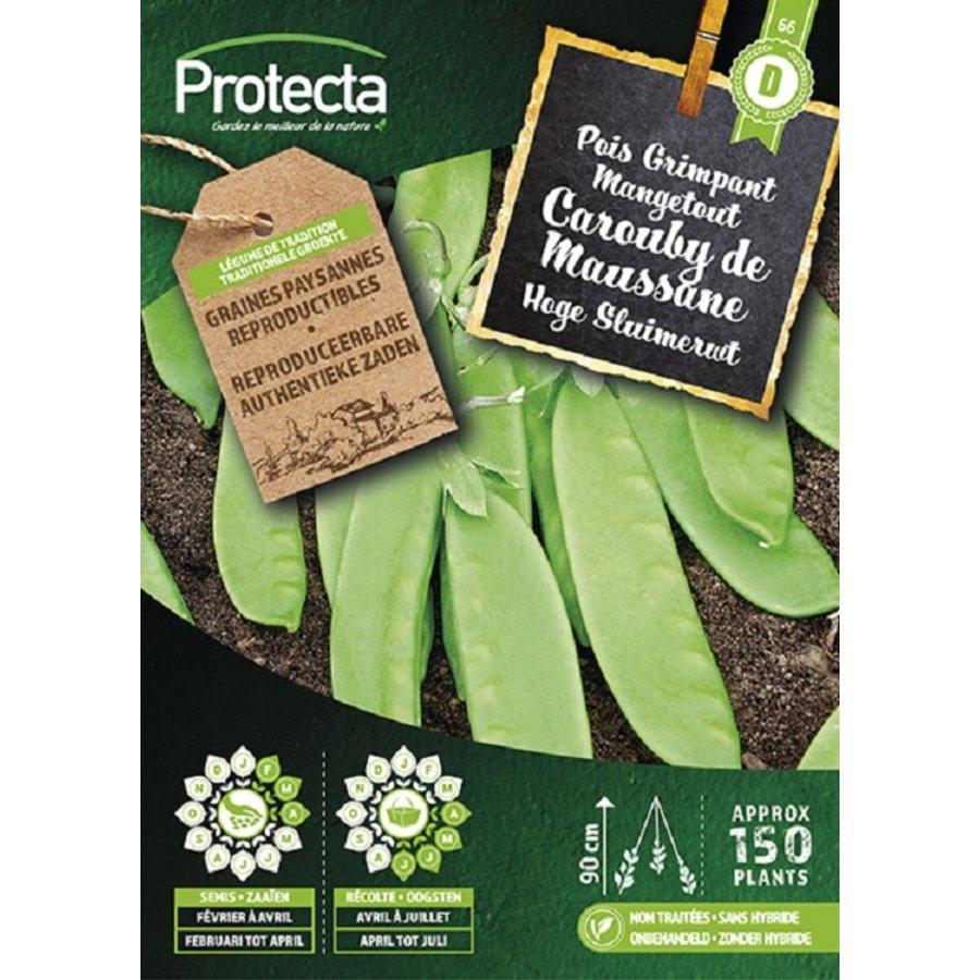 Groente zaden: Hoge sluimerwt Reuzensuiker CAROUBY