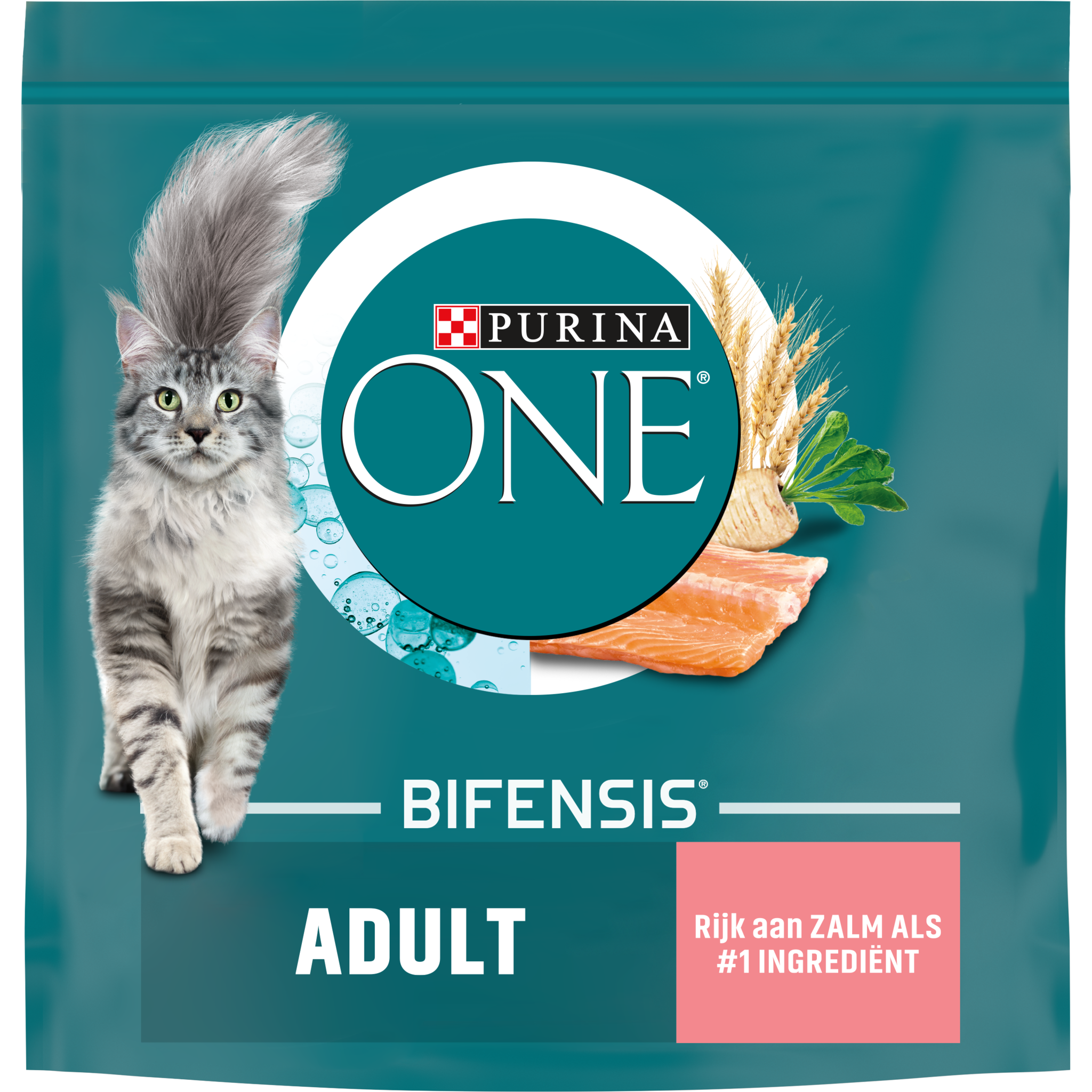 Purina One Adult Zalm & Granen 800gr