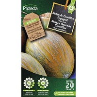 Groente zaden: Meloen van Cavaillon