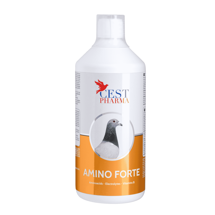 Amino Forte 1000 ml