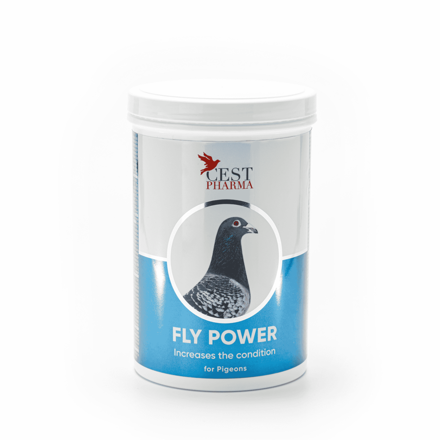 Fly Power 600gr