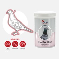 Gluca Cest 600gr