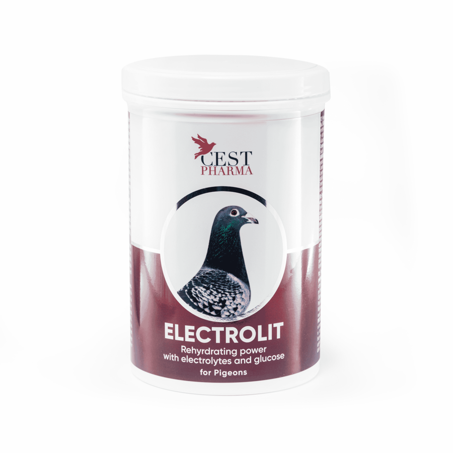 Electrolit 600 gram