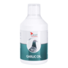 Garlic Oil 500 ml