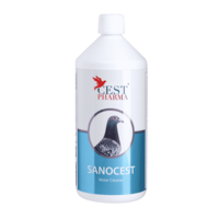 Sanocest 1000 ml