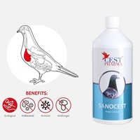 Sanocest 1000 ml