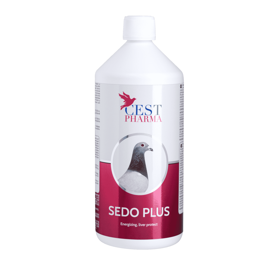 Sedo plus 1000ML