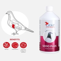 Sedo plus 1000 ml