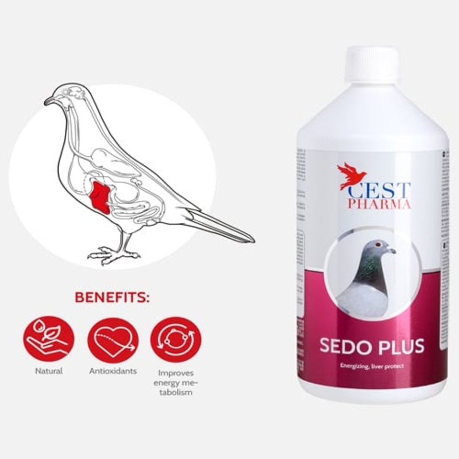Sedo plus 1000ML